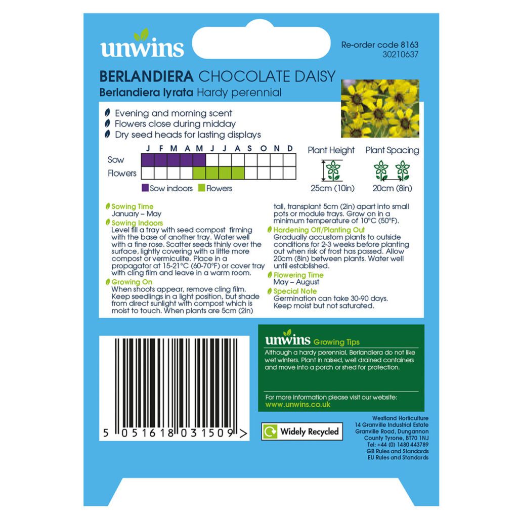 Unwins Berlandiera Chocolate Daisy Seeds 5051618031509 2